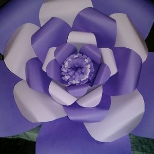 Meet your Posher, Silvia